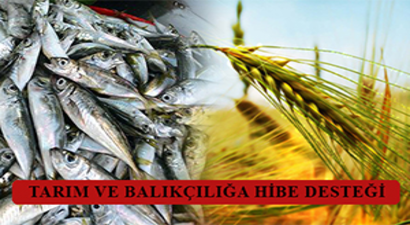 Tarım ve Balıkçılığa Yüzde 50 Hibe Desteği