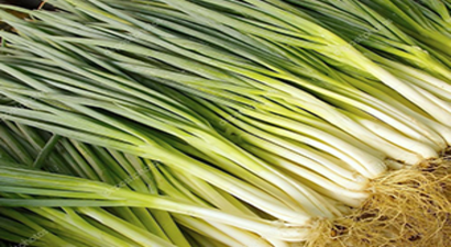 Yeşil Soğan En Fazla Fiyat Artışı Olan Sebze