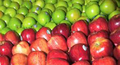 `İç Pazar Doymuş Durumda`