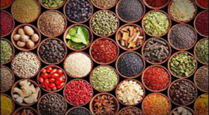 Sağlığa Faydalarının Yanı Sıra Ekonomiye de Katkı Sağladılar