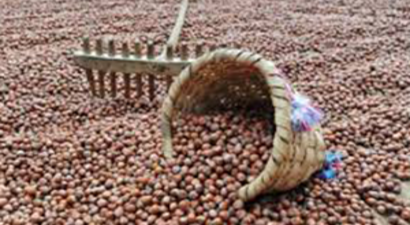 En Az 13 Lira Olmalıydı