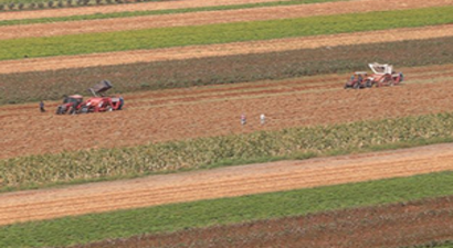 İç Savaş Bir Yandan Geçim Savaşı Bir Yandan