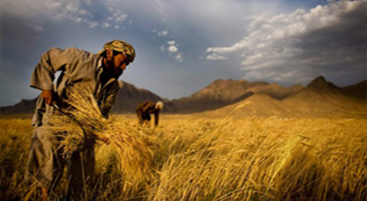 İthal Edilen 7 Ürüne Onay Şartı