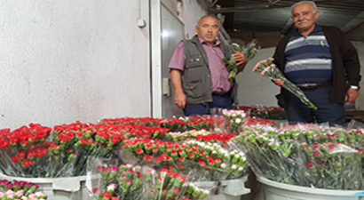 Bin 974 Nüfuslu Köyde, Yılda 20 Milyon TL Kazanç