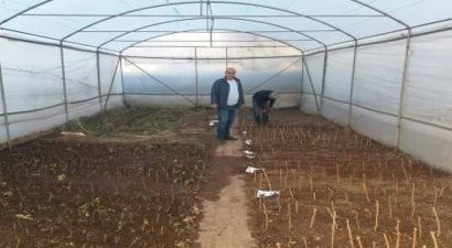 Uygulama Sera Faaliyete Geçti