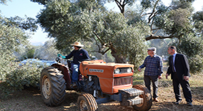 Halkalı Lekeyle Mücadelede Yüzde 80 Verim Sağlandı