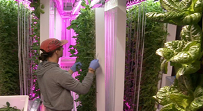 Konteyner`de Tarım 4.0 Mümkün Mü?