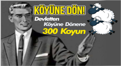 Gündemin Konusu 300 Koyunu Anlatan 14 Yaratıcı Tweet