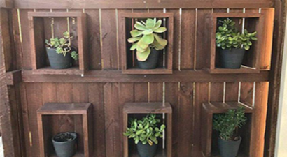 Dev Piton Öyle Bir yere Saklandı ki...