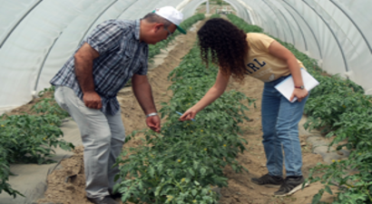 Bitkisel Üretimde Biyolojik  Mücadele Yapanlar Destekleme Alacak