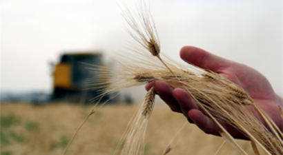 Prim Desteği Başvuruları 4 Mayıs`ta Sona Erecek