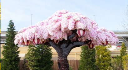 İlginç Özelliği Sayesinde Guinness Rekorlar Kitabına Girdi