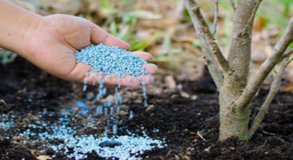 Hububatta Gübre Desteğine Yüzde Yüz Zam