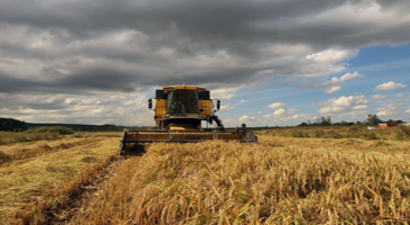 Bakanlık, 2019 Yılı Havzalarda Desteklenecek Ürün Listeleri Açıkladı