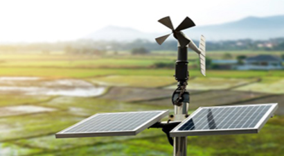 Akıllı Teknolojilerle Türkiye`de Zeytincilik Yükseliyor!