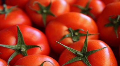 Rus Tarım Bakanlığı:Türk domatesi marketlerimizde artık kapış kapış satılmıyor