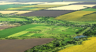 IMF`nin İstediği `Tarım Arazilerinin Satışını Öngören Tasarı` Yasalaştı