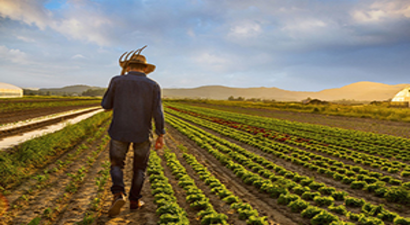 Reuters: Britanya, Koronavirüs Nedeniyle Vatandaşlarına Tarım İşçisi Olma Çağrısında Bulundu