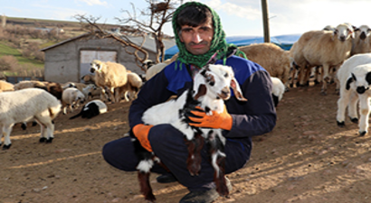 Elazığlı Depremzedelerin Kuzu Sevinci