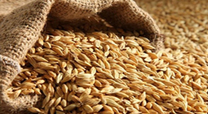 Tahıl İhracatı Sınırlandırılacak