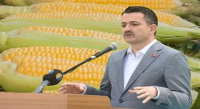 MISIR ALIM FİYATLARI BELLİ OLDU