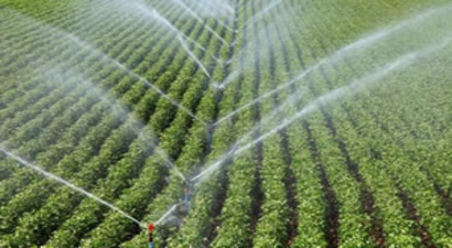 TEDAŞ, TARIMSAL SULAMA BORÇLARINI YENİDEN YAPILANDIRIYOR