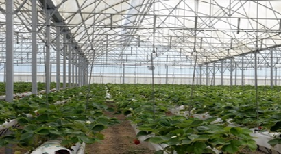 TİKA`dan Moğolistan`da Seracılığa Destek