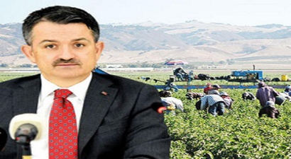 Topraksız Tarım Önem Kazanacak