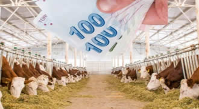 2020 Hayvancılık Hibe Destekleri