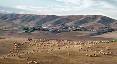 Şanlıurfa`nın Bozkır Ekosistemleri Koruma Altına Alınıyor