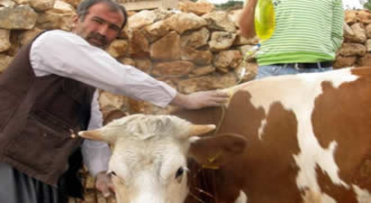 Üçgün Hastalığına Dikkat