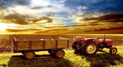 Tarım Ürünleri Üretici Fiyat Endeksi Açıklandı