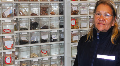 60 Yıldır 1200 Çeşit Ata Tohumunu Ekiyor