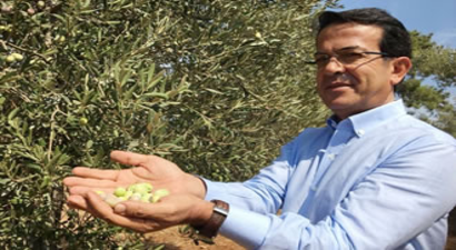 Beylik Zeytini Tescillendi