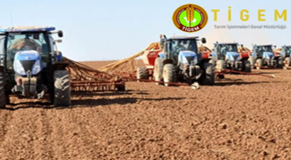 TİGEM 596 İşçi Alımı Yapacak!