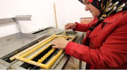 Ordu`da Arı Sütü Kadın Üreticilere 800 Bin Lira Kazandırdı