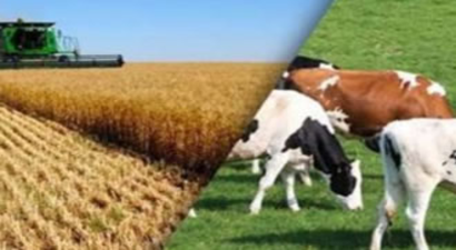 2021`de Çiftçiye 23 Milyar Lira Destek