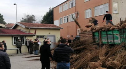 Çaycuma`da Çiftçilere Fidan Dağıtıldı