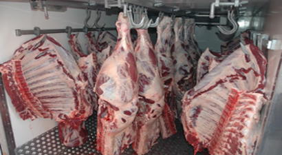 TKDK Hibesiyle AB Standartlarında Tesis Kurdu