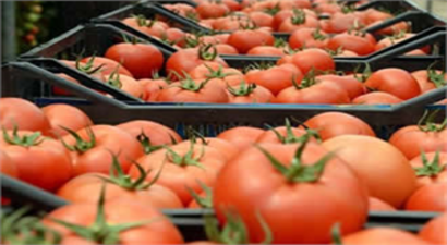 Rusya  İthalat Yasağı Getirdi