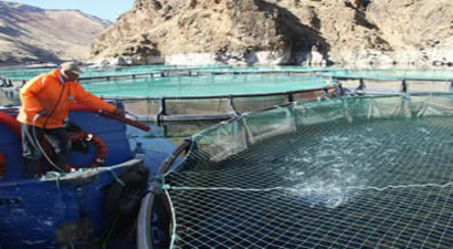 Su Ürünleri  Üretim Yerleri Kiralanamayacak