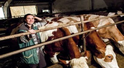 Kadın Girişimciye Bakanlık Hibe Desteği