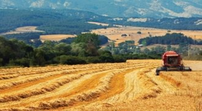 Münavebe Şartı Bir Yıl Ertelendi