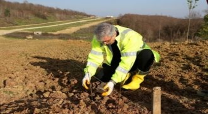 Botanik Vadisi`ne Kuşburnu Ekildi