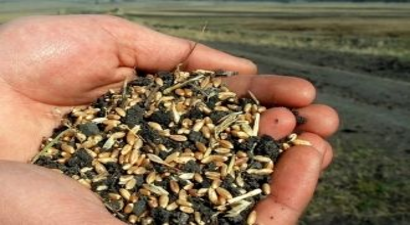 Tohumculuk Hizmetleri Elektronik Ortamda