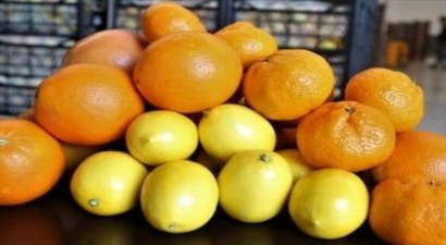 Bakanlık Turunçgillerde Sezonun Uzatılmasını Önerdi