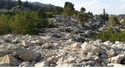 Orman Vasfı Taşımayan Alanlarla İlgili Düzenleme