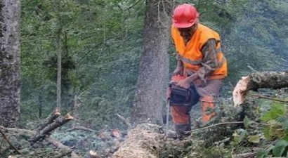 On Bin Orman Köylüsüne ORKÖY Desteği