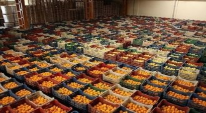 İhracatta 5 Ürün Şampiyon Oldu