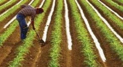 826 İşçi Alımı Kura Sonucu Açıklandı